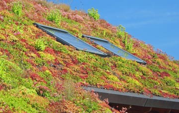 Bunce Common living roof systems
