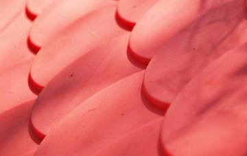 Bunce Common plastic roof costs